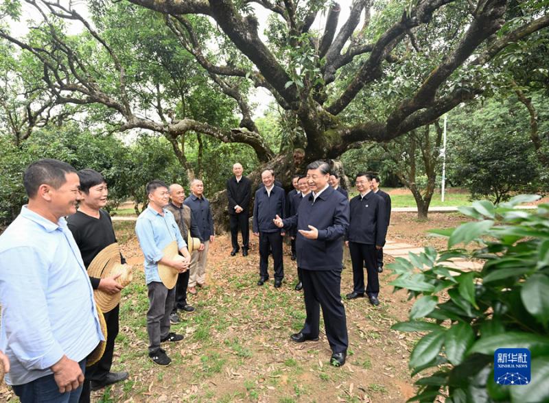 习近平在广东考察时强调 坚定不移全面深化改革扩大高水平对外开放 在推进中国式现代化建设中走在前列(图8)