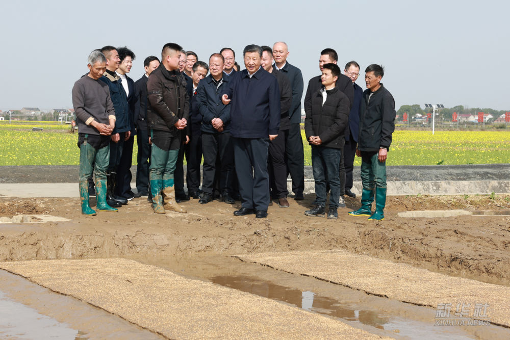 习近平在湖南常德市考察调研(图7)