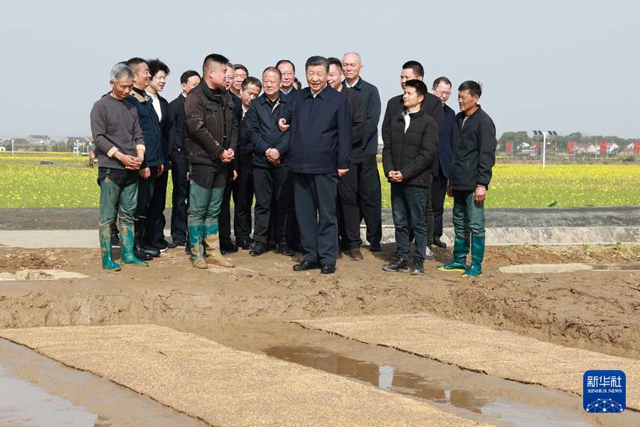 习近平在湖南考察时强调 坚持改革创新求真务实 奋力谱写中国式现代化湖南篇章(图16)