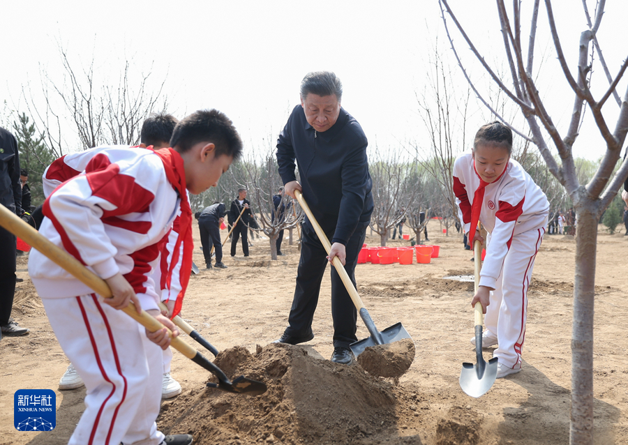 习近平在参加首都义务植树活动时强调 全民植树增绿 共建美丽中国(图3)