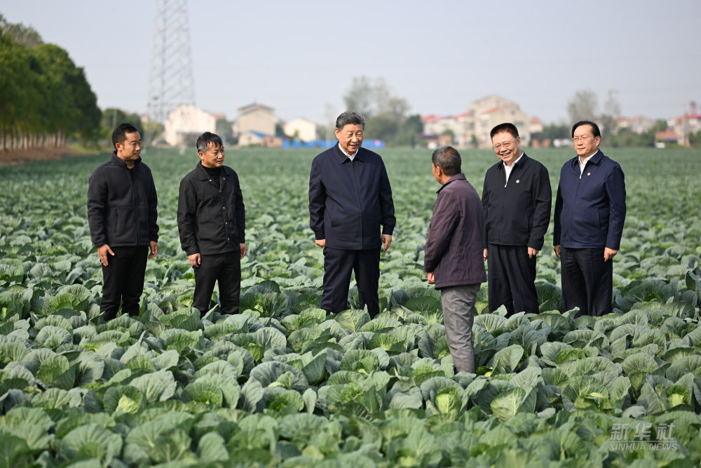 习近平在湖北考察调研(图4)