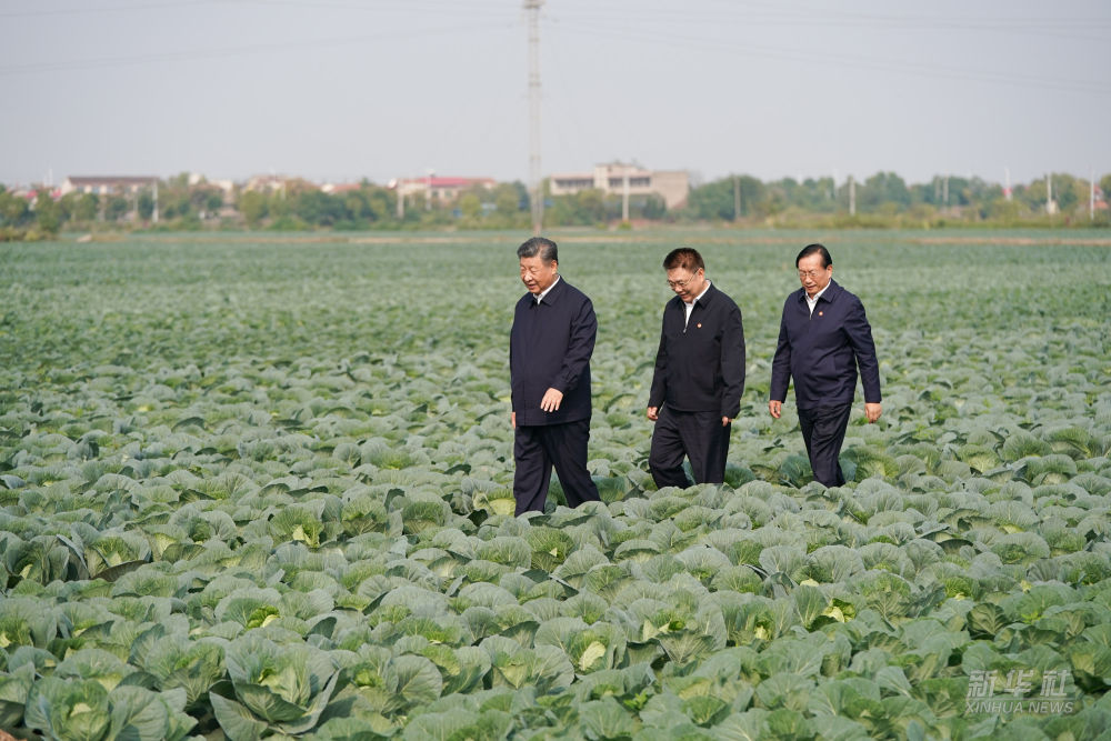 习近平在湖北考察调研(图5)