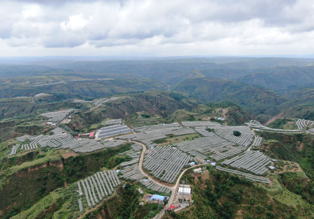 习近平的乡土情(图3)