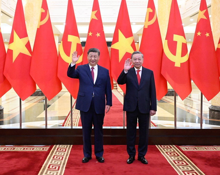 习近平同越共中央总书记苏林举行会谈(图2)