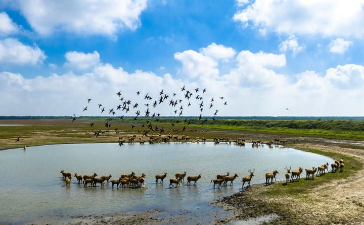 思想之光照亮奋进之路——以习近平同志为核心的党中央引领中国经济社会高质量发展迈向新境界(图5)