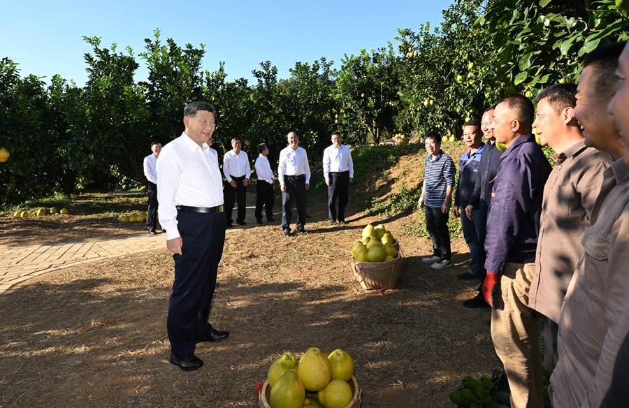 习近平在广东考察时强调 深入学习宣传贯彻党的二十届四中全会精神 以全面深化改革开放推动高质量发展(图6)
