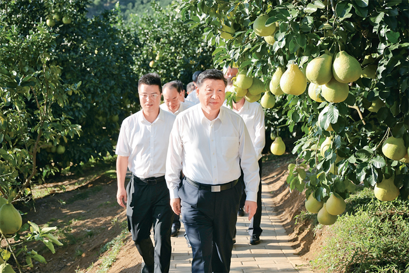 《求是》杂志发表习近平总书记重要文章《学习好贯彻好党的二十届四中全会精神》(图3)