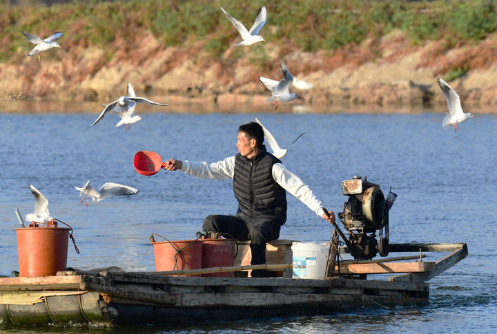 新华社北京3月2日电 《习近平总书记率领打赢脱贫攻坚战》一书近日由中共中央党校出版社出版，在全国发行。(图11)
