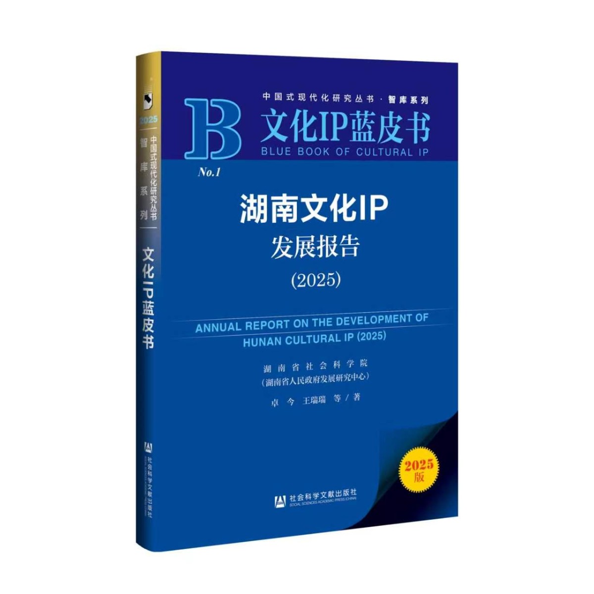 院（中心）发布《2025年湖南系列蓝皮书》(图6)
