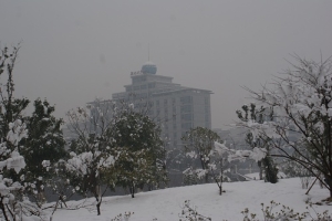 院景