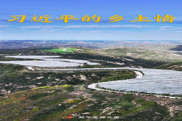 习近平的乡土情