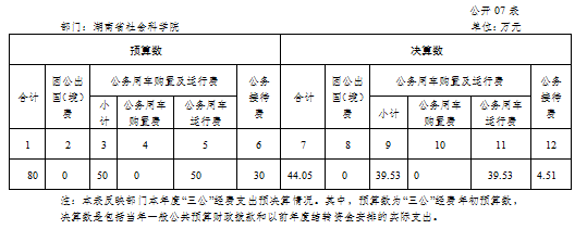 湖南省社会科学院2017年度部门决算(图7)