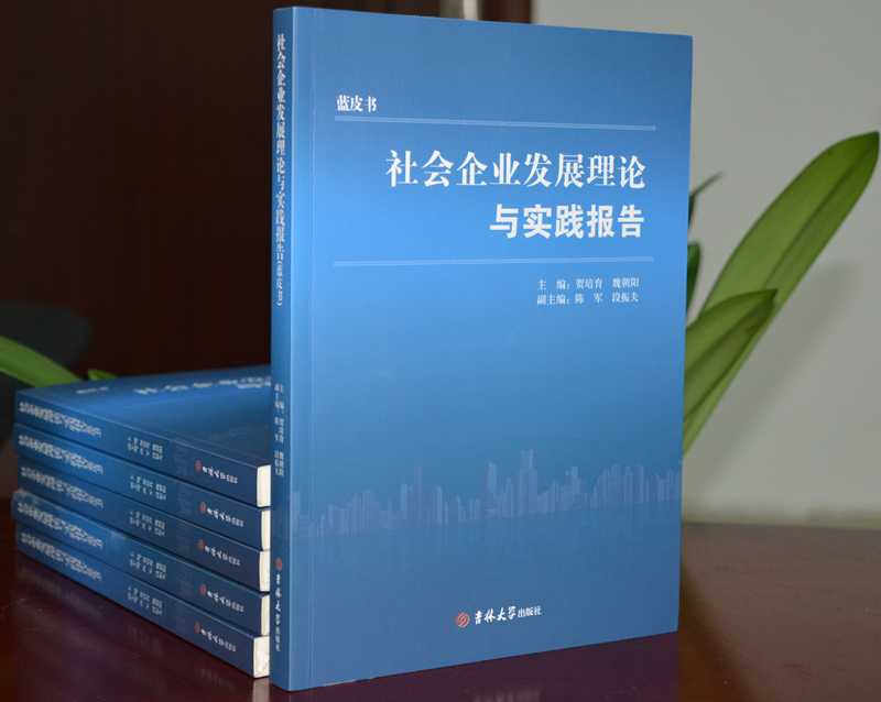 省社科院社会企业研究中心2021年度重要研究成果《社会企业发展理论与实践报告》近日出版(图2)