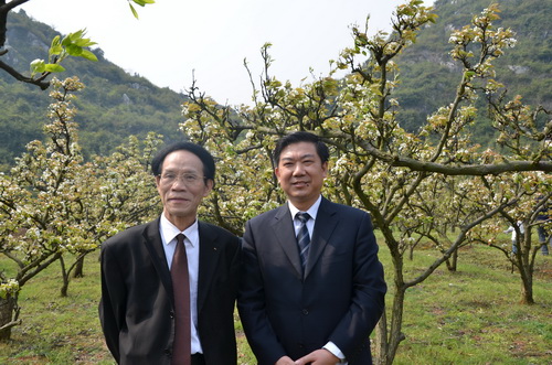 朱有志院长参加“蓝山首届乡村文化旅游节暨第二届梨花节”开幕式(图3)