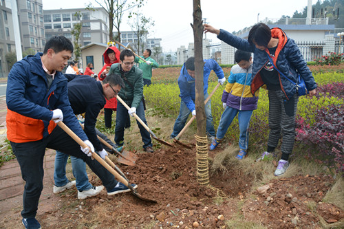 院团委组织志愿者参加义务植树活动(图3)